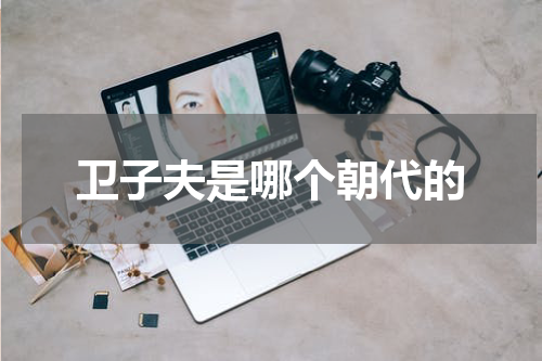 卫子夫是哪个朝代的