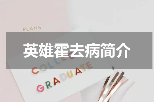 英雄霍去病简介