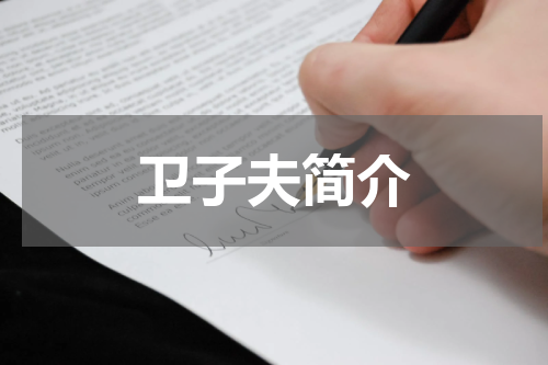 卫子夫简介