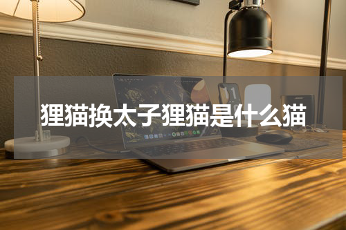 狸猫换太子狸猫是什么猫