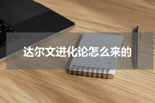 达尔文进化论怎么来的
