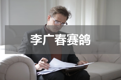 李广春赛鸽
