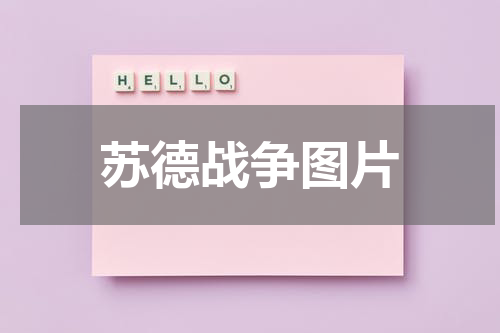 苏德战争图片