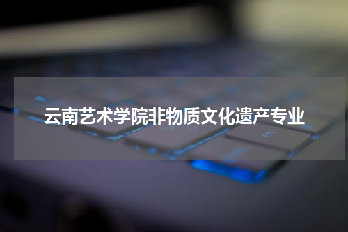云南艺术学院非物质文化遗产专业