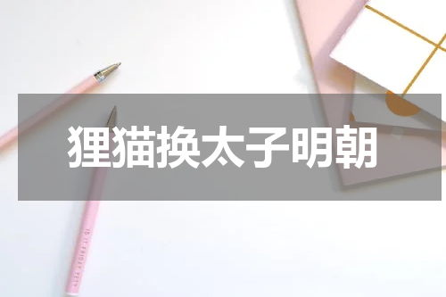 狸猫换太子明朝