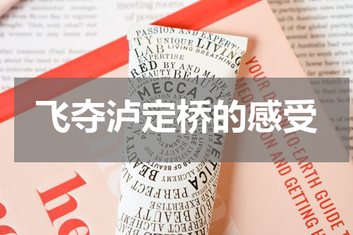 飞夺泸定桥的感受