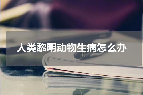 人类黎明动物生病怎么办