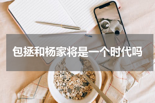包拯和杨家将是一个时代吗