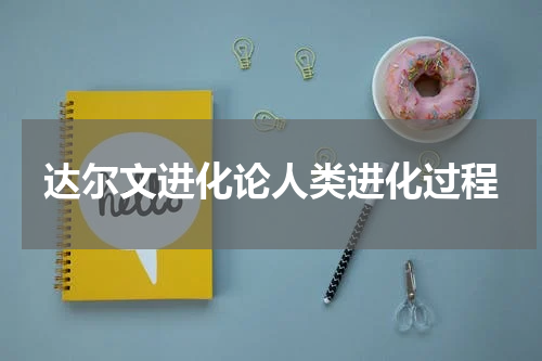 达尔文进化论人类进化过程