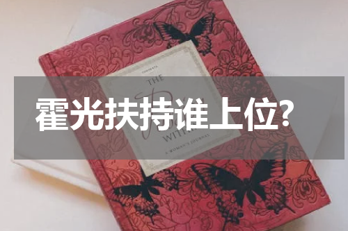 霍光扶持谁上位?