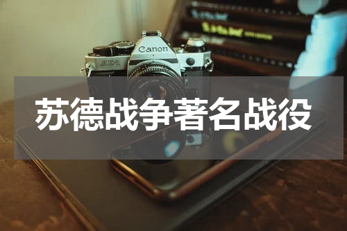 苏德战争著名战役