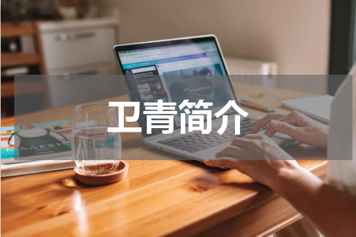 卫青简介