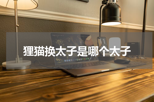 狸猫换太子是哪个太子