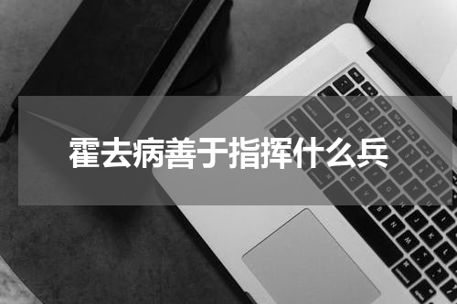 霍去病善于指挥什么兵
