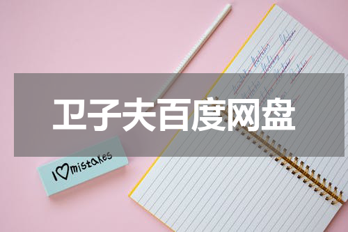 卫子夫百度网盘