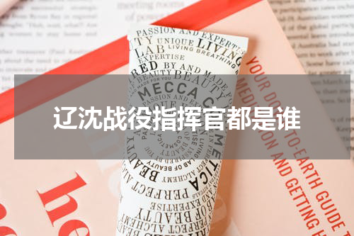 辽沈战役指挥官都是谁