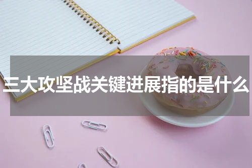 三大攻坚战关键进展指的是什么