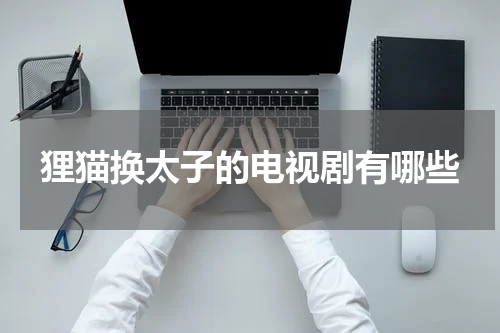 狸猫换太子的电视剧有哪些