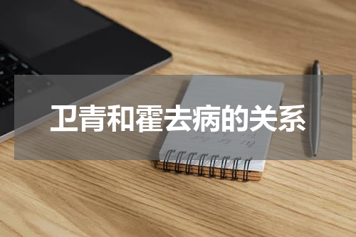 卫青和霍去病的关系