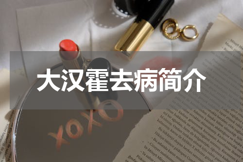 大汉霍去病简介