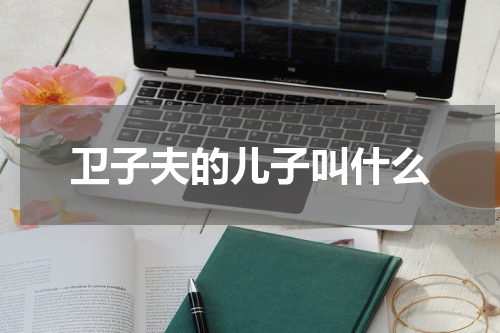 卫子夫的儿子叫什么