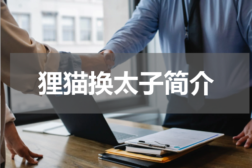 狸猫换太子简介