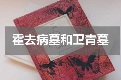 霍去病墓和卫青墓