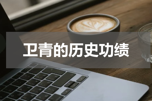 卫青的历史功绩