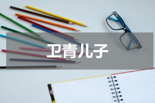 卫青儿子