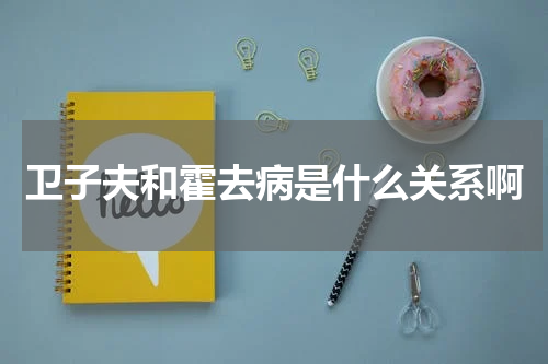 卫子夫和霍去病是什么关系啊