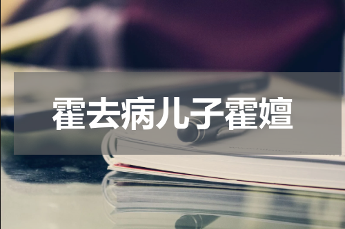 霍去病儿子霍嬗