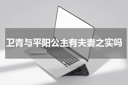卫青与平阳公主有夫妻之实吗