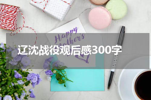 辽沈战役观后感300字