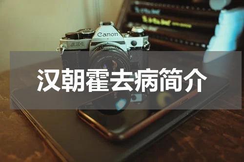 汉朝霍去病简介