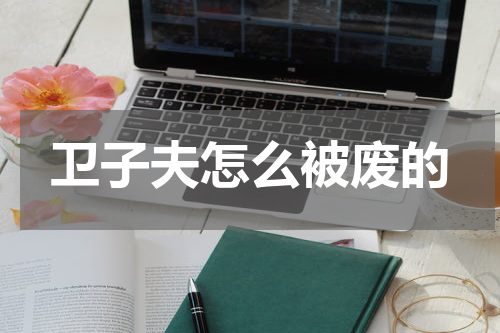 卫子夫怎么被废的
