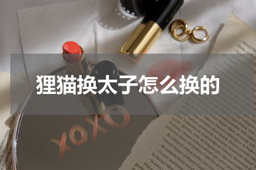 狸猫换太子怎么换的