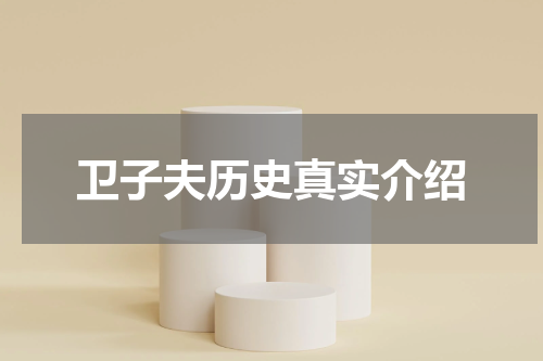 卫子夫历史真实介绍