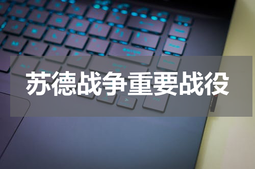 苏德战争重要战役