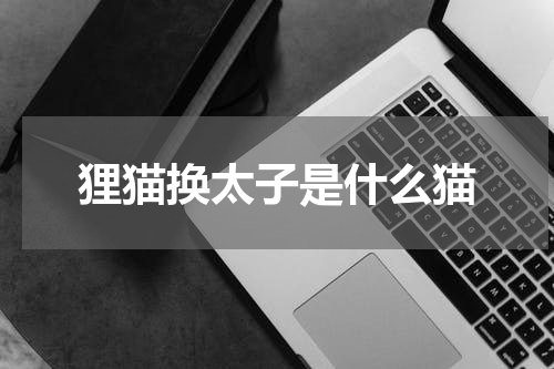 狸猫换太子是什么猫