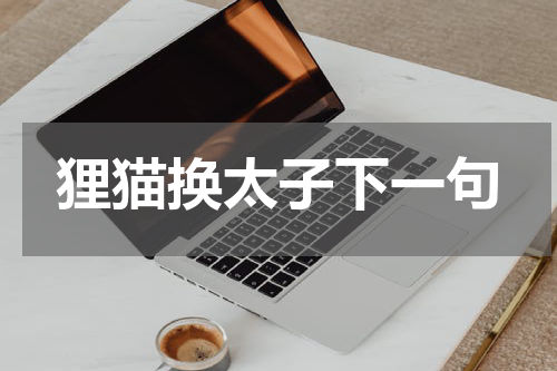 狸猫换太子下一句