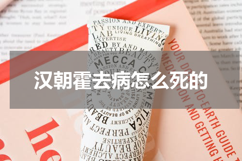 汉朝霍去病怎么死的