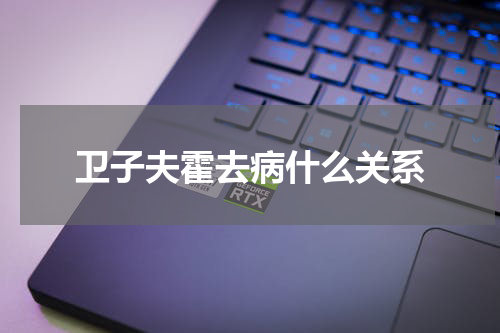卫子夫霍去病什么关系