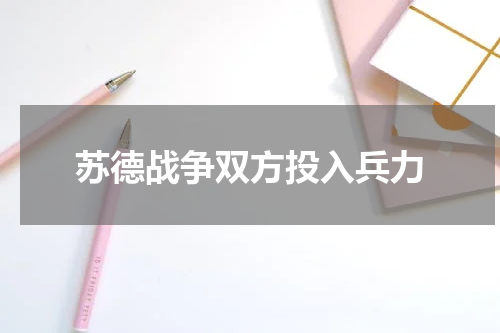 苏德战争双方投入兵力
