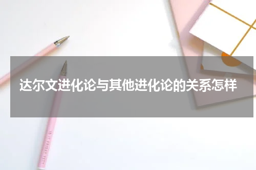 达尔文进化论与其他进化论的关系怎样