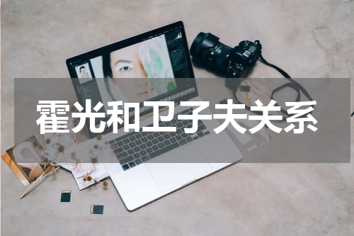 霍光和卫子夫关系