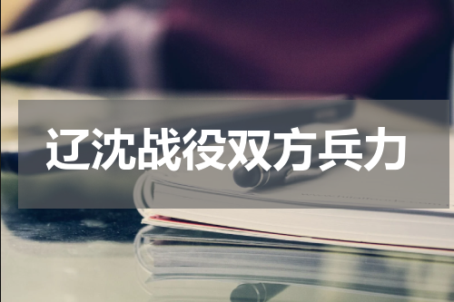 辽沈战役双方兵力