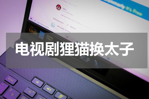 电视剧狸猫换太子
