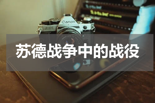 苏德战争中的战役