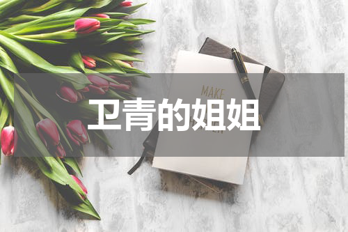 卫青的姐姐