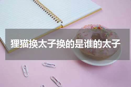 狸猫换太子换的是谁的太子